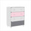 Liston 4 Drawer Chest with Custom Green and Pink Panel Design
