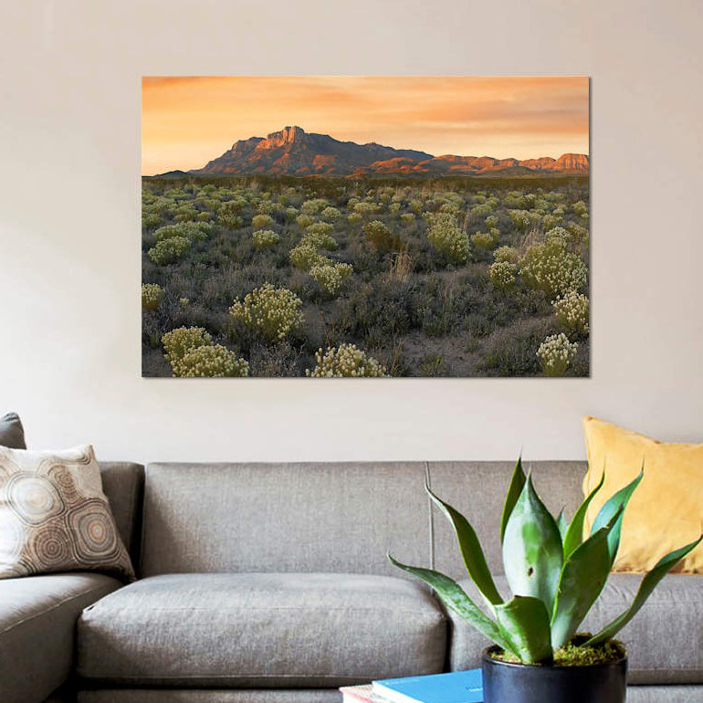 « pepperweed pré-dessous el capitan, guadalupe montagnes national park, texas », reproduction de photo sur toile