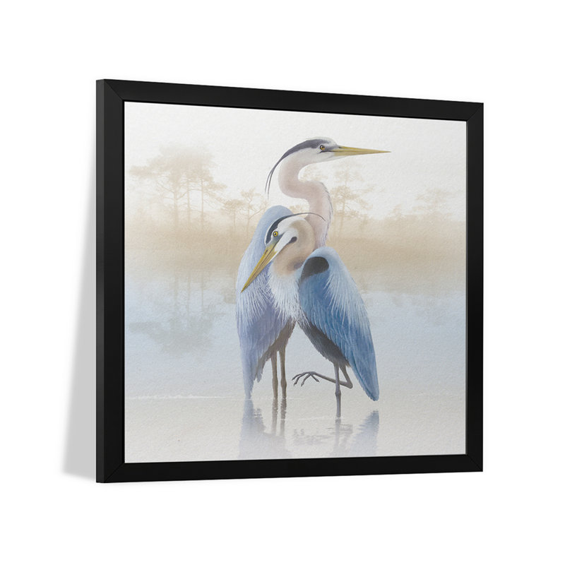 «Misty Plumage II», affiche encadrée par Steve Hunziker, H 16 po x l 16 po