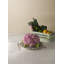 Mafalda Dinner Plate