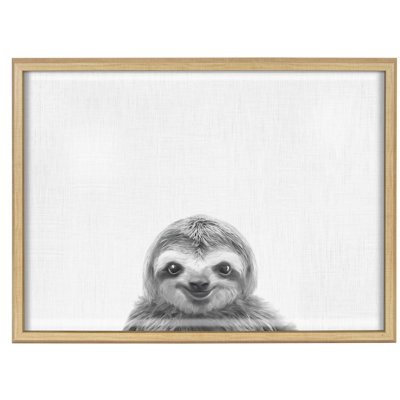 Aticus " Sloth "