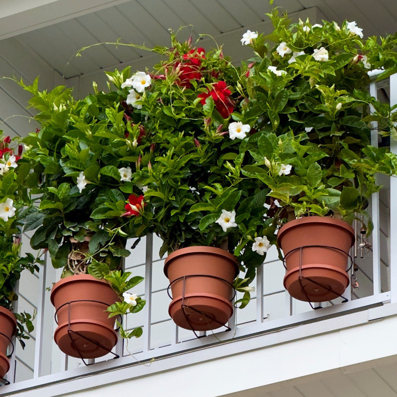 Railscapes, pince à plante de jardinage verticale pour rampes étroites, 3