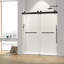 Porte de douche sans cadre de l 44 po x H 76 po
