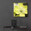 «Yellow Blossom» par PhotoINC Studio-1731160910