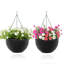 Wall Planter-129908400