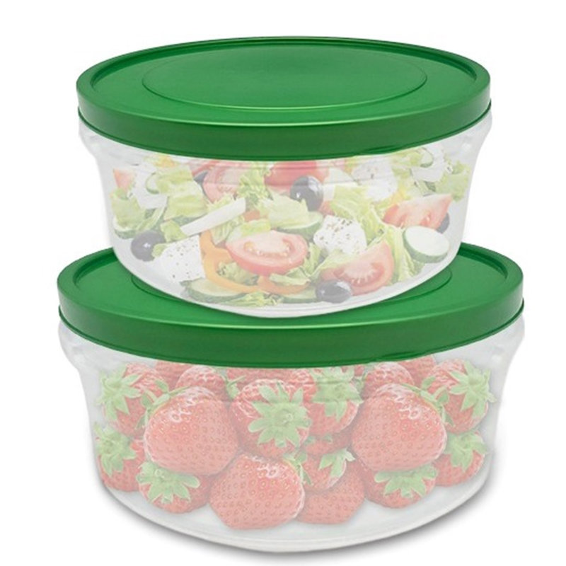 Derekshan Food Storage Container, Green