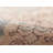 Bungalow Rose Campisi Traditional Oriental Polyester Camel Area Rug-1605234652