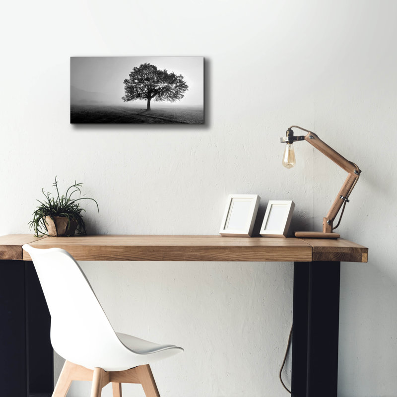 «Epic Graffiti» «Tree In Mist» par Photoinc Studio, art mural sur toile, H 12 po x l 24 po x P 0,75 po