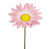Rose est en rupture de stock