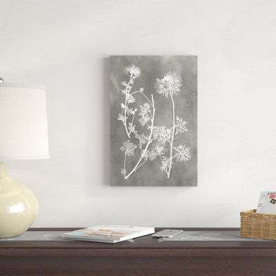 «Herbarium Study IV» par Vision Studio, reproduction d'art sur toile