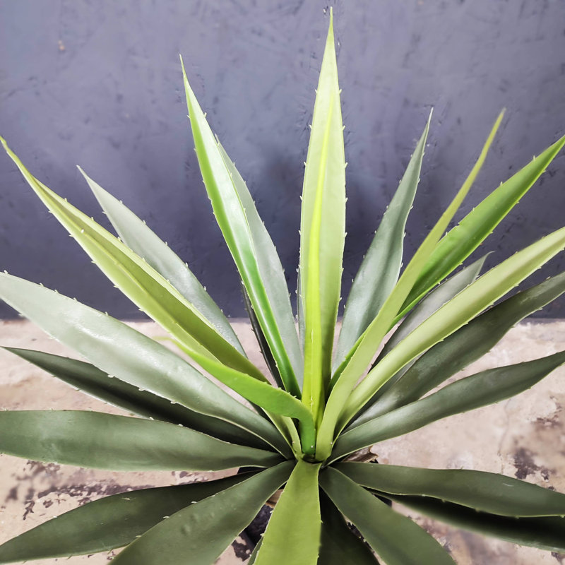 Agave artificielle Sansevieria