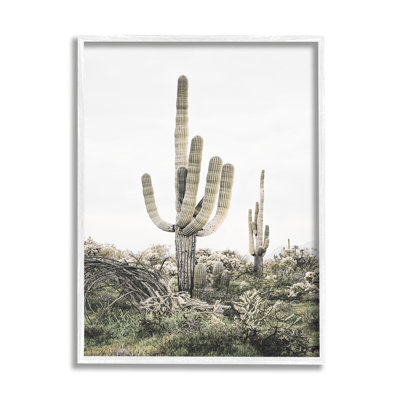 " Desert Landscape Cacti " by Sisi And Seb