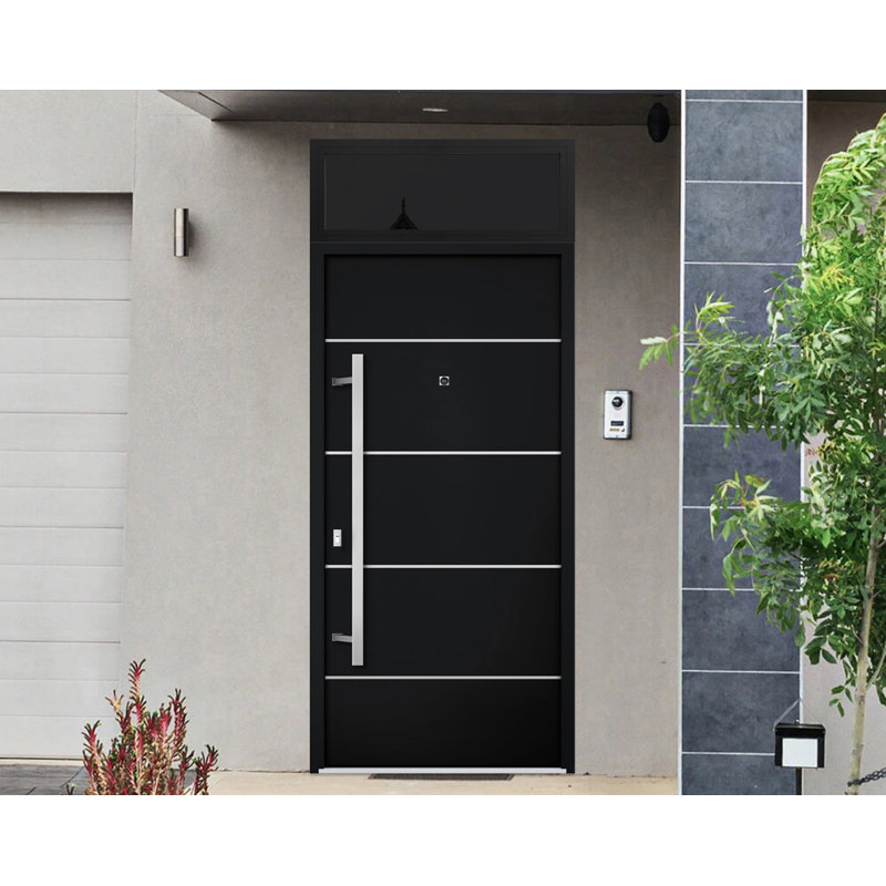 Modern Black Enamel Metal Exterior Prehung Door with Sidelites