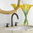 2-handle Bathroom Faucet with Drain Assembly