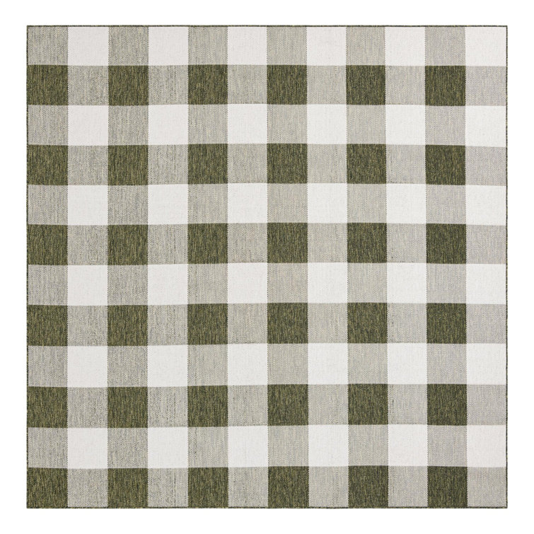 Tereon Checkered Machine Made Power Loom Polypropylene Plastic Indoor/Outdoor Area Rug in Green