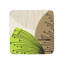 Dandelion Clocks Coasters