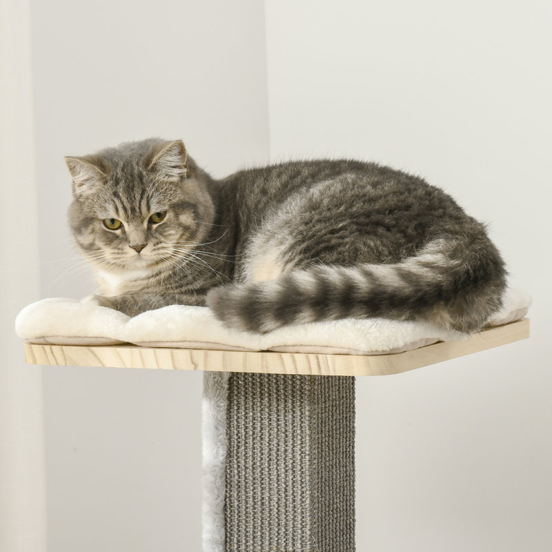 Arbre à chat Cozy-House pour chats d'intérieur avec perchoirs recouverts de coussins