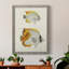 Jaune et gris poisson I, toile encadrée de qualité supérieure - prête à être accrochée-361955757-361955753