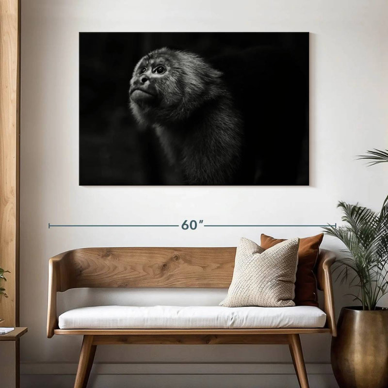 Brampt Capuchin Monkey, 32" H x 48" W