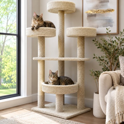 Maine Coon 61'' H Cat Tree