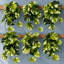 25 cm H Faux Plant-127681027