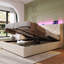 Upholstered Ottoman Storage Bed-1301118178