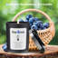 Bougie en pot parfumée Santiago Huckleberry
