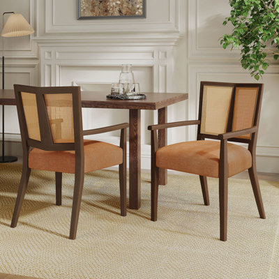 Ensemble de 2 chaises de salle à manger (noyer + caramel)