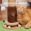 40 cm H Cat Scratchers