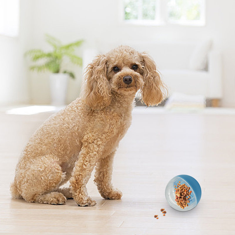 Distributeur de friandises interactif pour chien, Light Blue