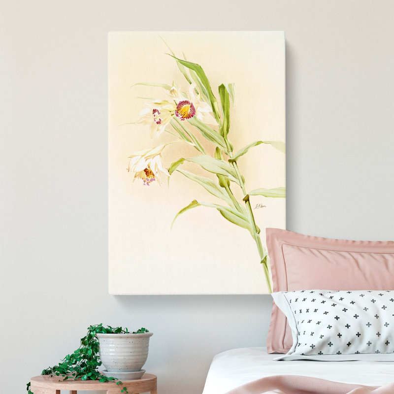 Magnolia Flowers Illustration Tab. 82 by Frederick Sander - Wrapped Canvas Print, 60cm H x 40cm W x 3cm D