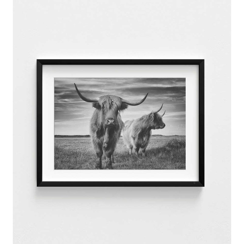 Art mural Highland Cow - impression de ferme écossaise en noir et blanc, H 18 po x l 24 po, Noir