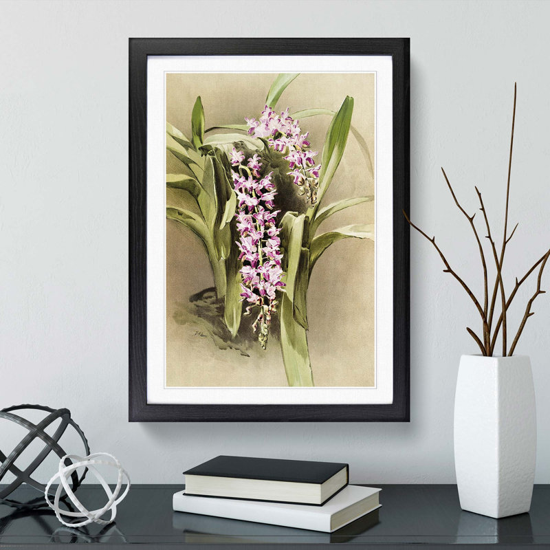 Magnolia Flowers Illustration Tab. 81 by Frederick Sander - Picture Frame Painting Print, 60cm H x 40cm W x 2cm D, Black