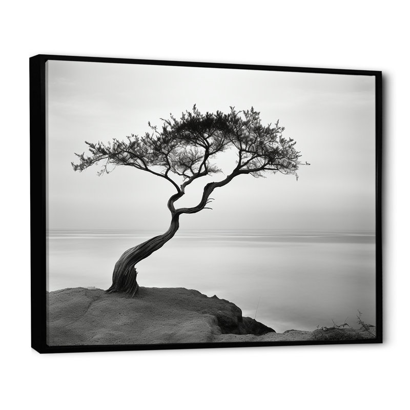 Avalon - plage et océan, reproduction d'art mural, H 12 po x l 20 po, Cadre flottant noir