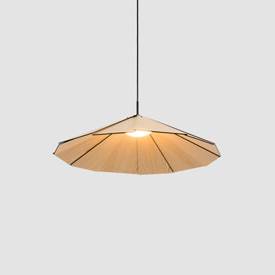 Sepal 1 - Light Cone LED Pendant