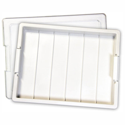 Elizabeth Ward Bead Plastic Art Carrying Case