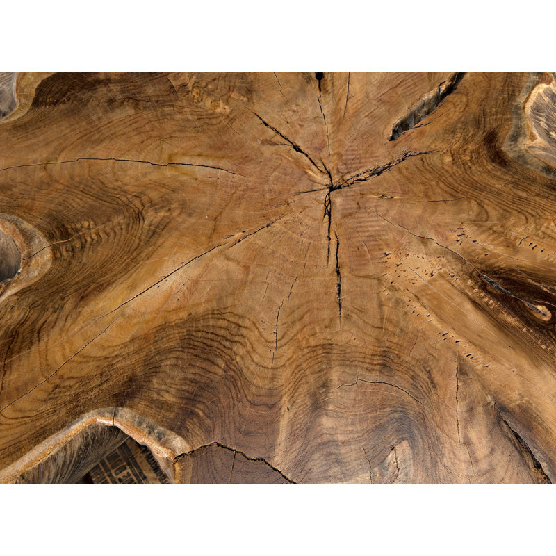 Solid Wood Single Coffee Table