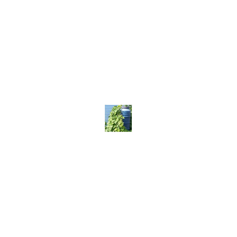 Filet pour plantes Rain Barrel