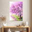 Arbre de printemps mauve Sakura-108389280