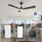 52'' Ceiling Fan with LED Lights-1621257686
