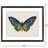 Garden Visitor I Framed Art