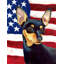 2 côtés en polyester de 2 côtés american drapeau de jardin-1288238445
