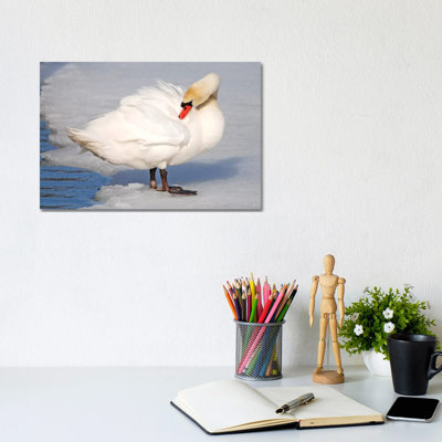 Preening 1 Piece Wrapped Canvas Wall Art