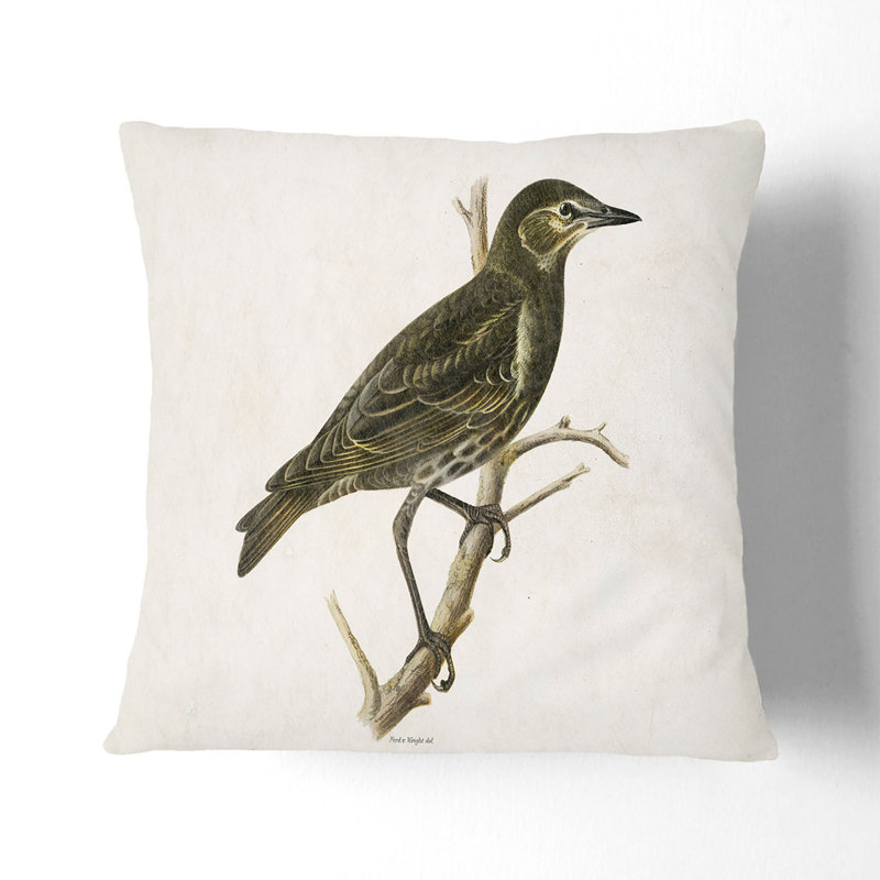 Square Throw Cushion, 55cm H x 55cm W x 20cm D