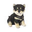 Shiba Decorative Puppy Figurine for Home & Garden Décor, Handpainted Polyresin Dog Statue, Realistic Design | Gift for Dog Lovers | Weather-Resistant Indoor/Outdoor Decor-616385839