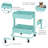 ECR4Kids 2-Tier Rolling Utility Cart, Multipurpose Storage-59602047