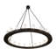 20 - Light Chandelier
