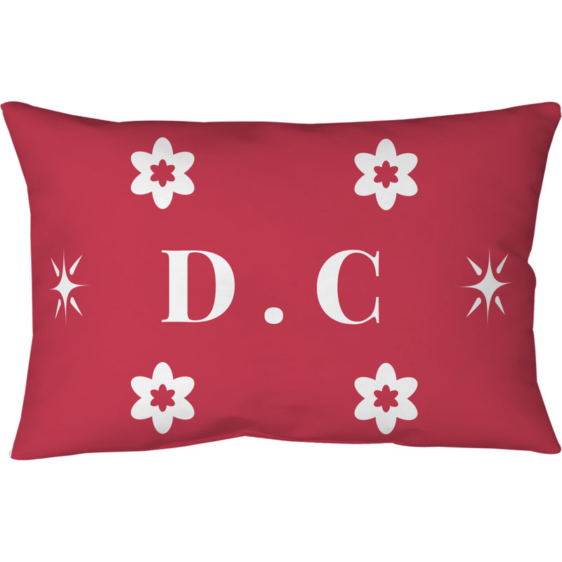 Coussin 14 pouces x 10 pouces DC