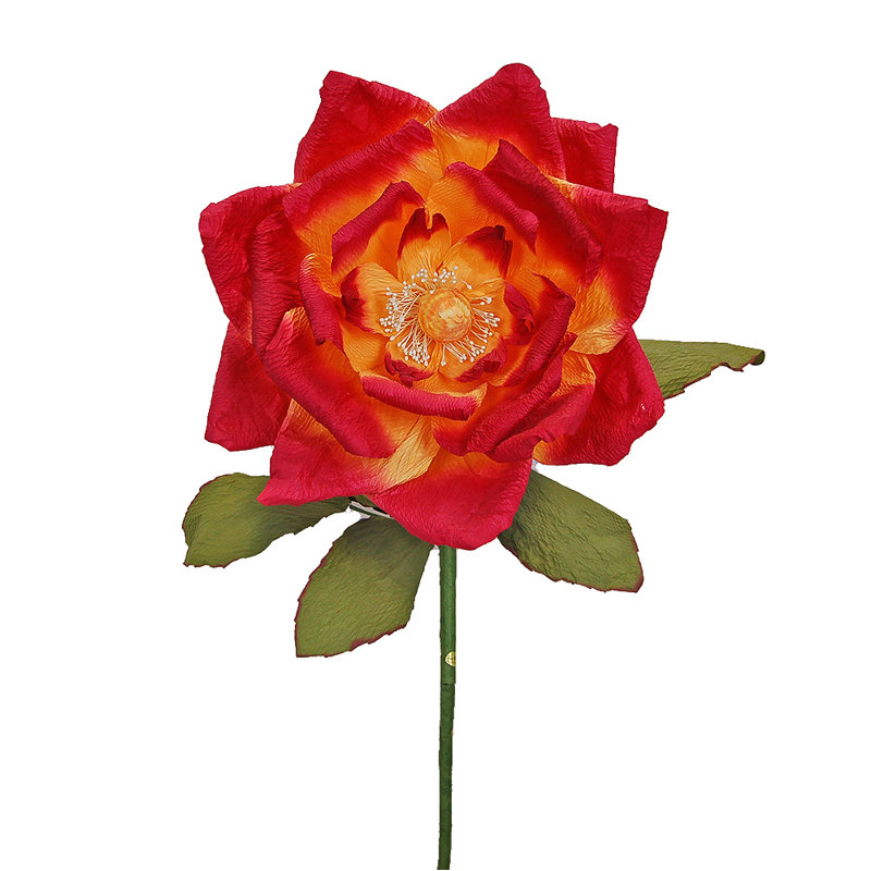 Tige de magnolia, Flamme