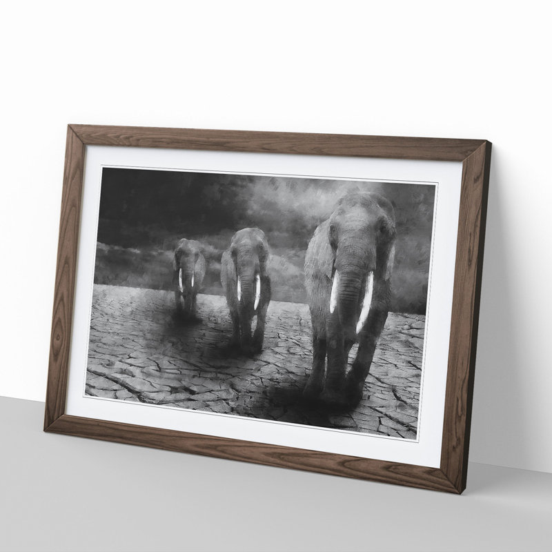 Three Elephants - Picture Frame Graphic Art, Walnut, 27cm H x 36cm W x 2cm D